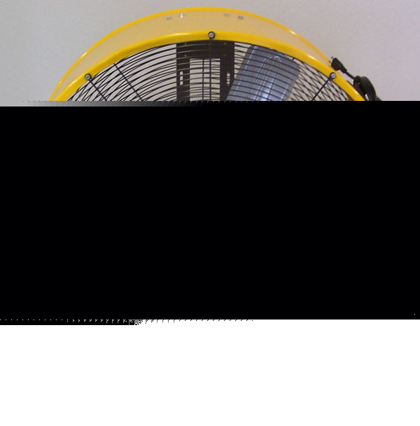 Protemp portable air circulator fan 36