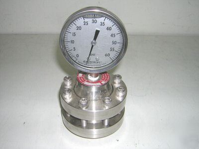 Ashcroft duralife gauge 1009 + type 200 diaphragm seal