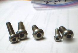Assortment of 38 stainless steel cap screws ( 5 sizes)